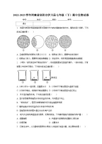 2022-2023学年河南省洛阳市伊川县七年级（下）期中生物试卷（含解析）