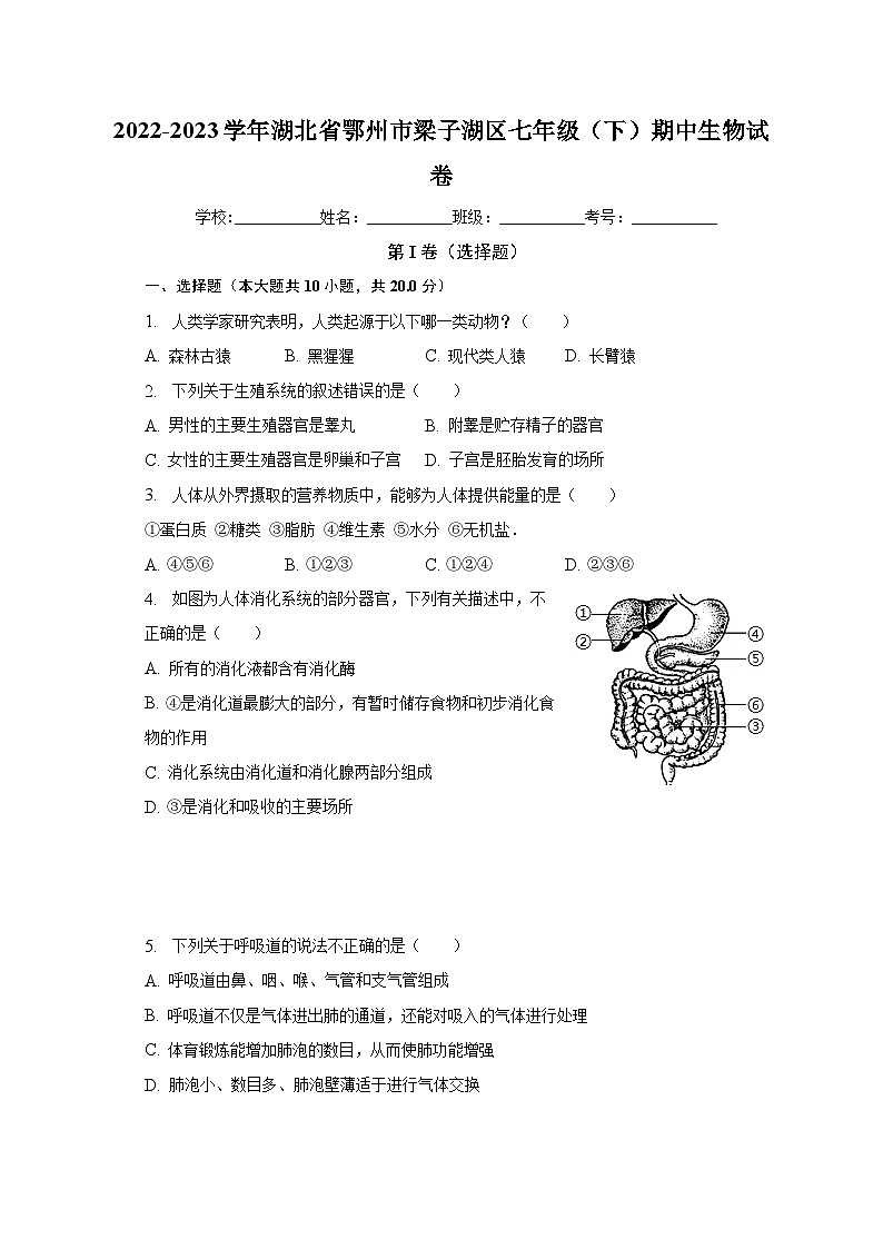2022-2023学年湖北省鄂州市梁子湖区七年级（下）期中生物试卷（含解析）第1页