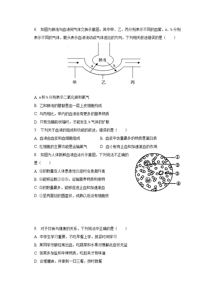 2022-2023学年湖北省鄂州市梁子湖区七年级（下）期中生物试卷（含解析）第2页