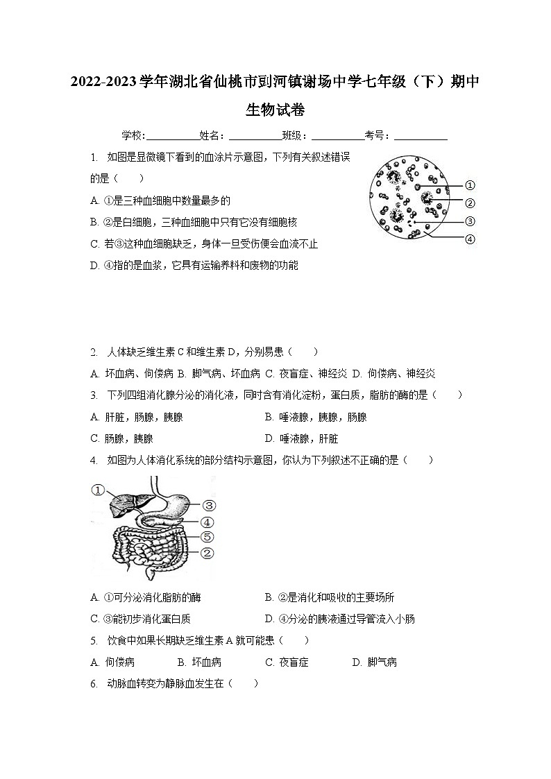 2022-2023学年湖北省仙桃市剅河镇谢场中学七年级（下）期中生物试卷（含解析）01