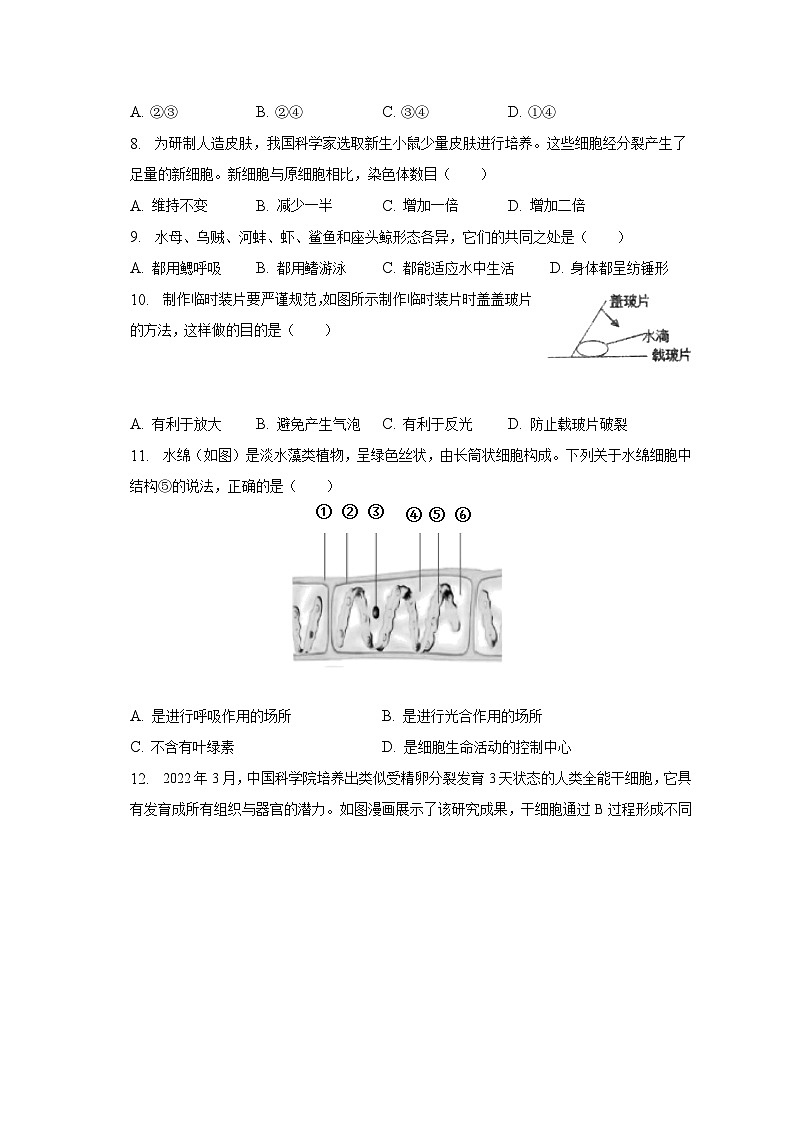 2022-2023学年江苏省连云港市海州区七年级（下）期中生物试卷（含解析）第2页