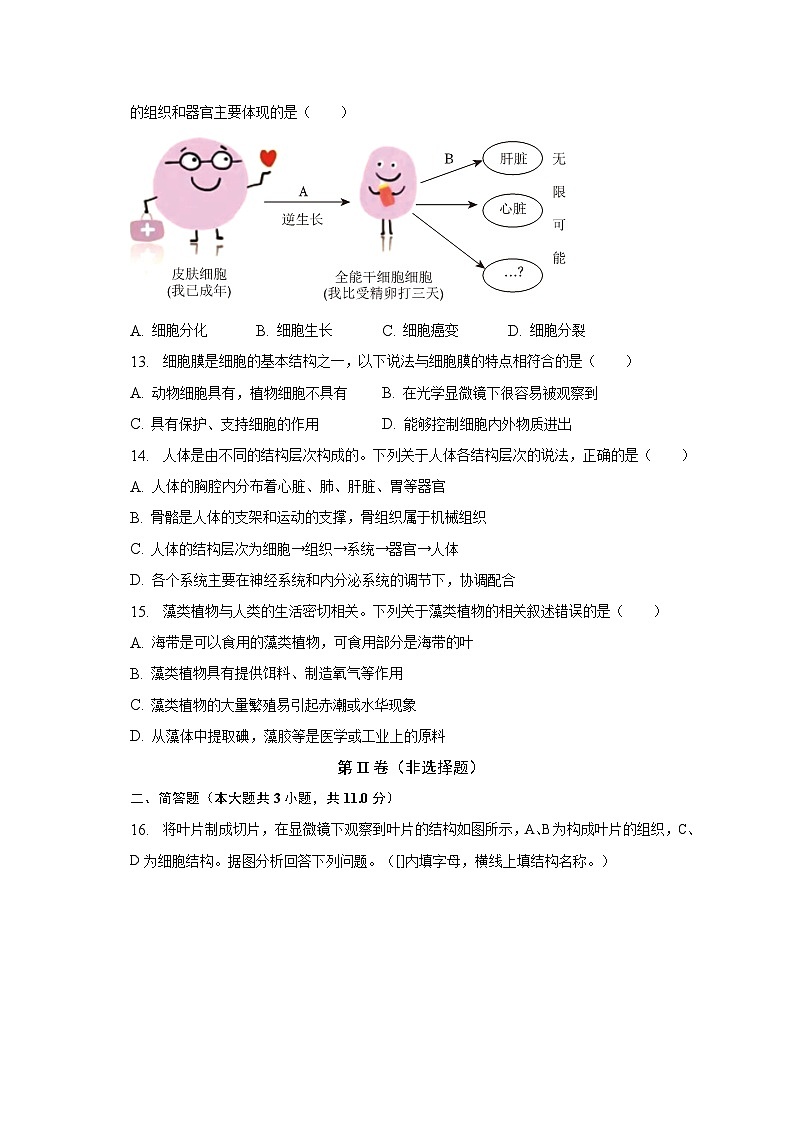 2022-2023学年江苏省连云港市海州区七年级（下）期中生物试卷（含解析）第3页