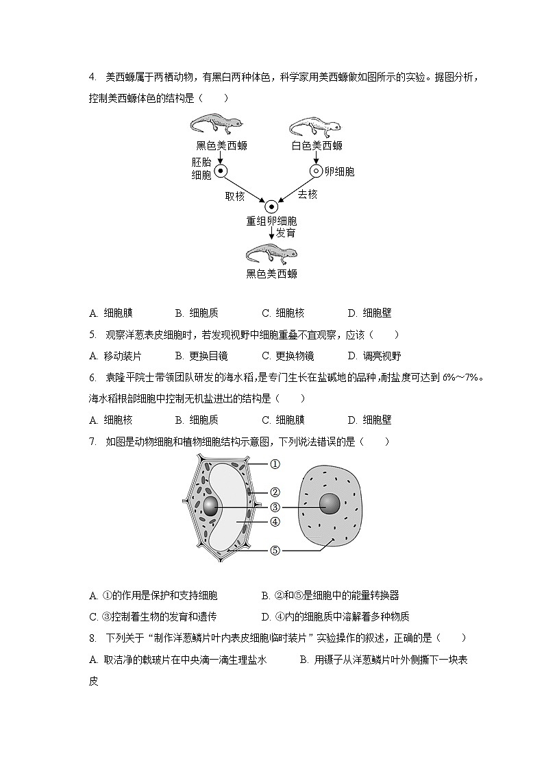 2022-2023学年江苏省泰州市泰兴市七年级（下）期中生物试卷（含解析）第2页