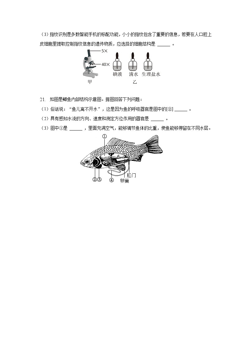 2022-2023学年江苏省扬州市宝应县七年级（下）期中生物试卷（含解析）03