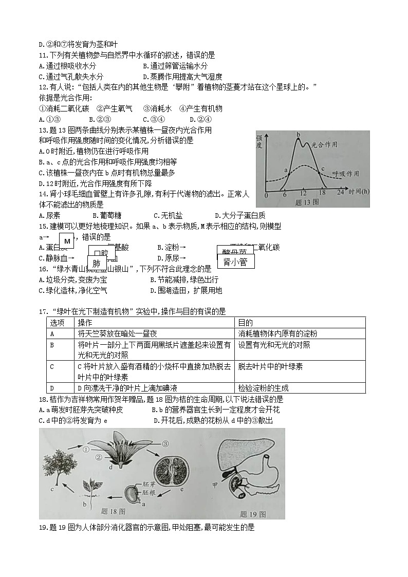 广东省2018中考生物真题试题（含答案）第2页
