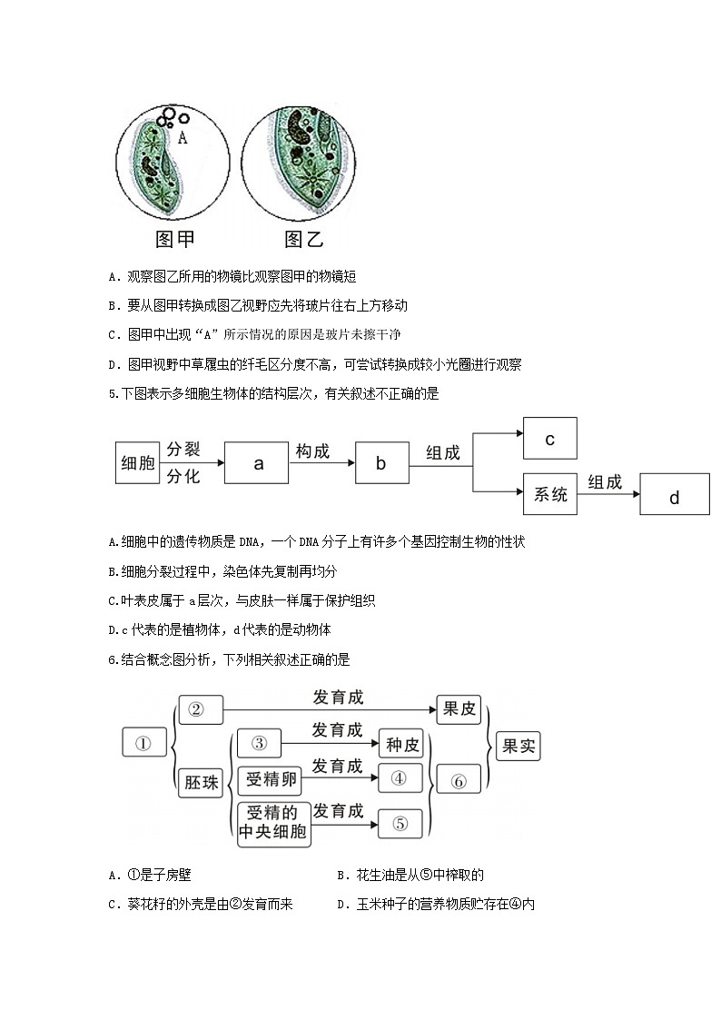 2023年湖南省娄底市新化县中考二模生物试题02