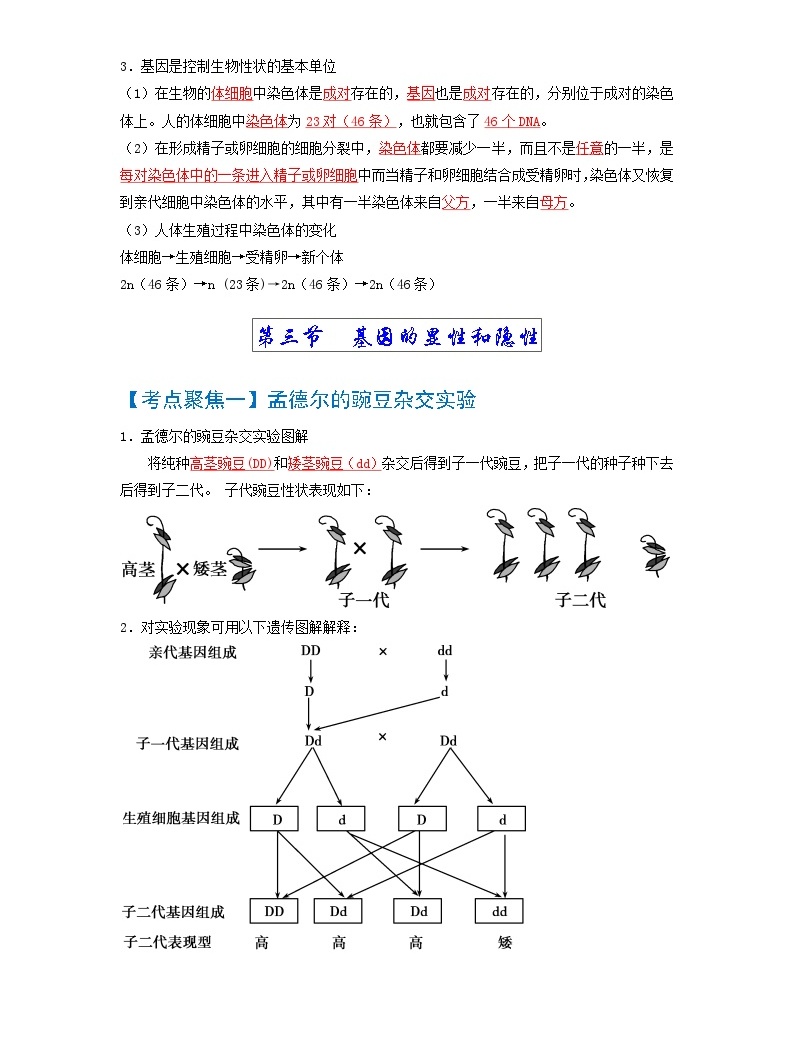 考点02 生物的遗传与变异 中考生物知识手册速查（人教版）-教习网|课件下载