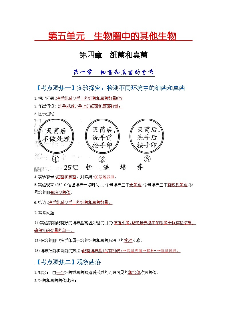 考点04  细菌和真菌、病毒 中考生物知识手册速查（人教版）01