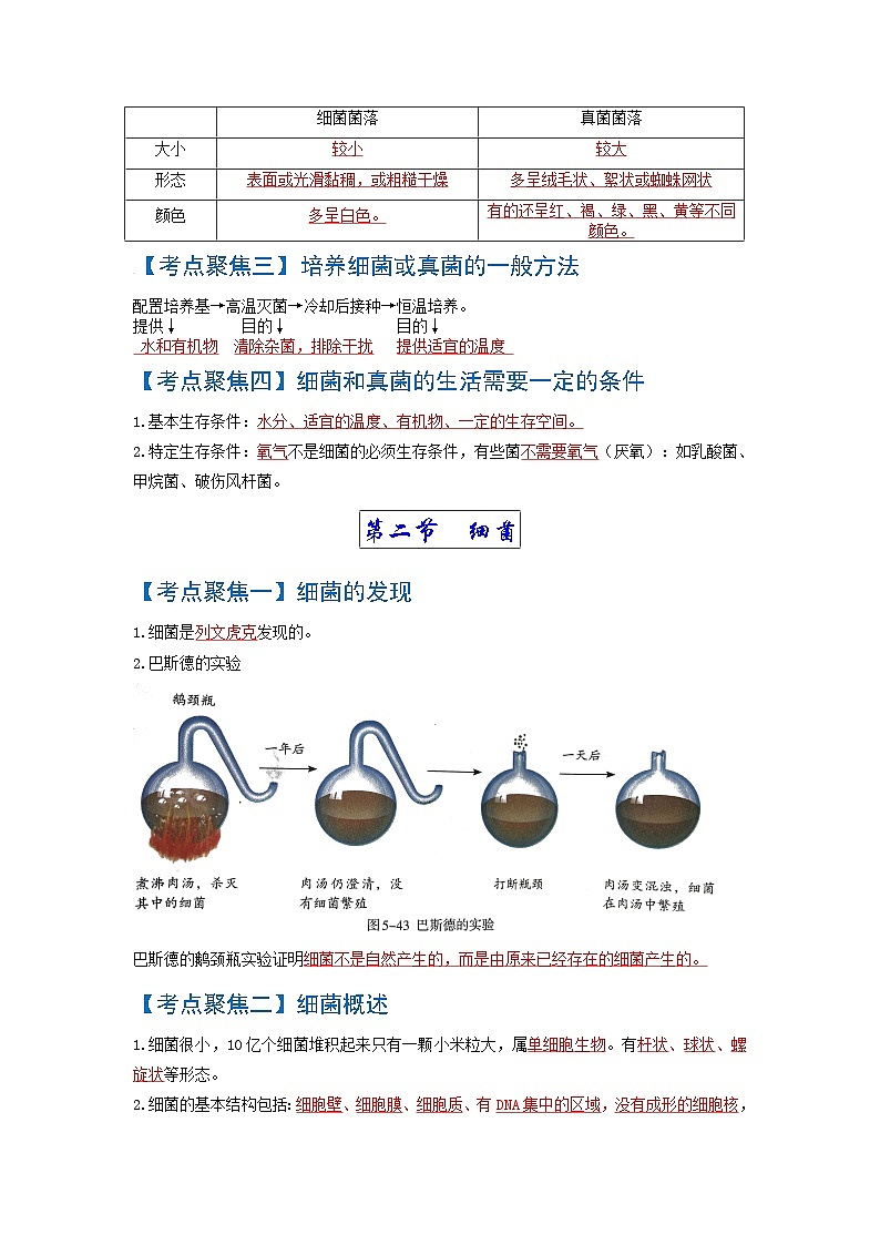 考点04  细菌和真菌、病毒 中考生物知识手册速查（人教版）02