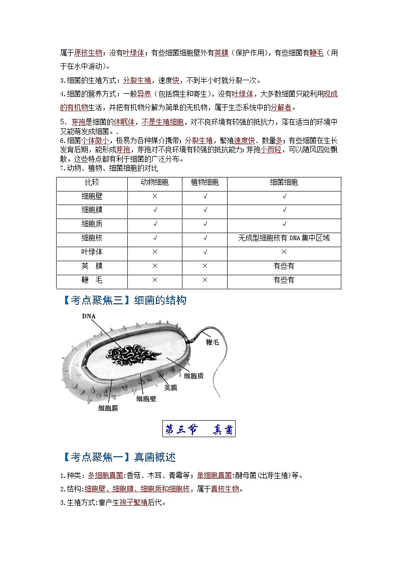 考点04  细菌和真菌、病毒 中考生物知识手册速查（人教版）03