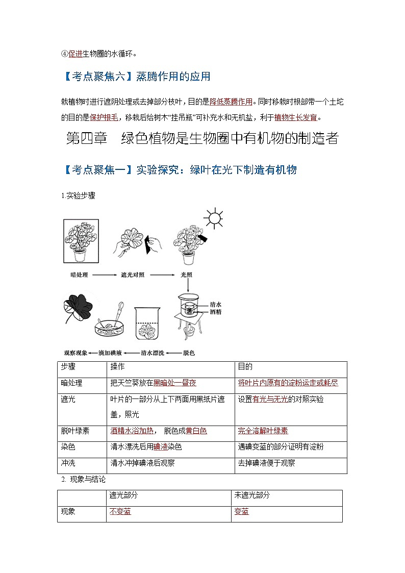 考点05  绿色植物的三大生理作用 中考生物知识手册速查（人教版）第3页