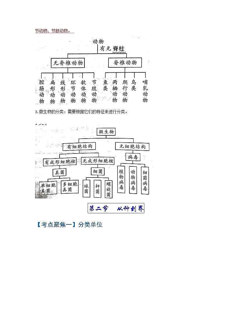 考点05  生物的多样性及其保护 中考生物知识手册速查（人教版）02