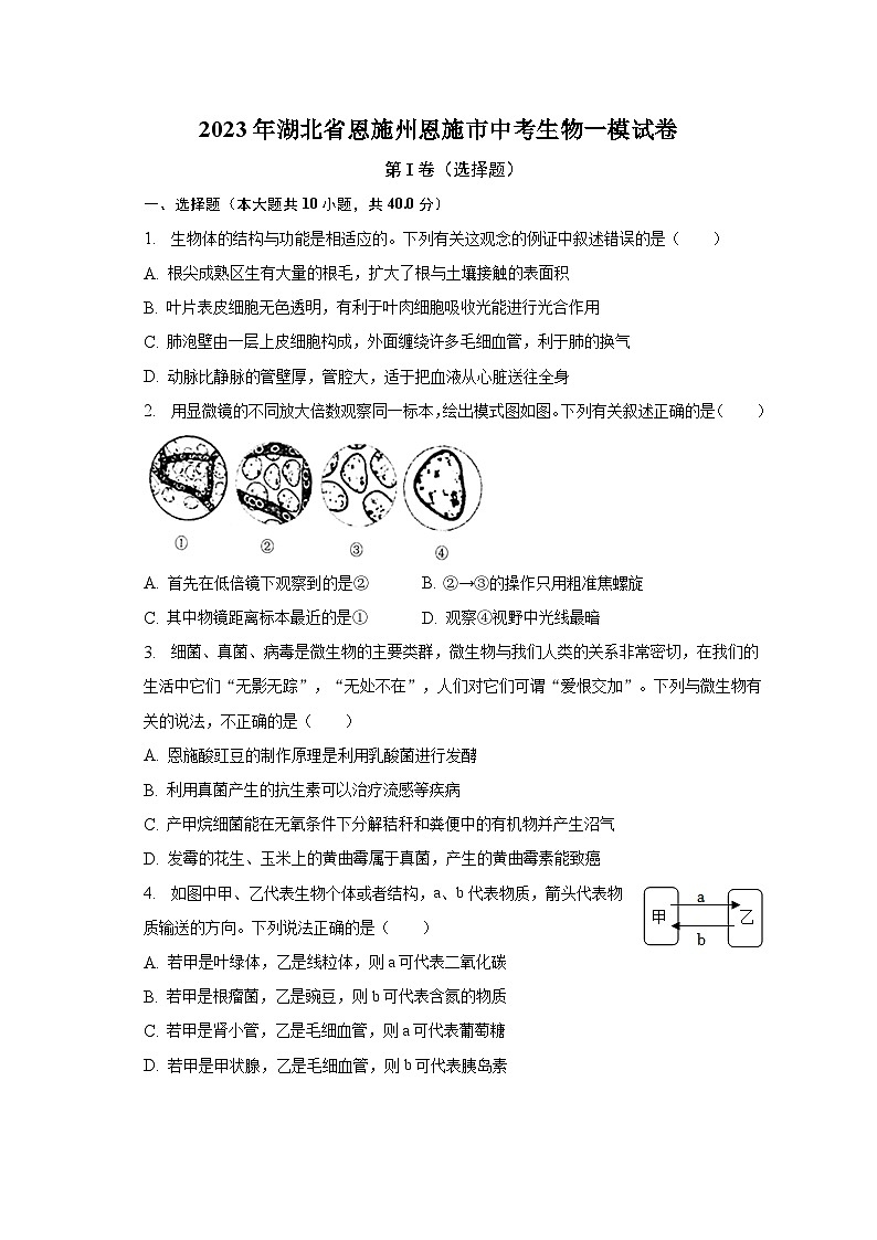 2023年湖北省恩施州恩施市中考生物一模试卷（含解析）01