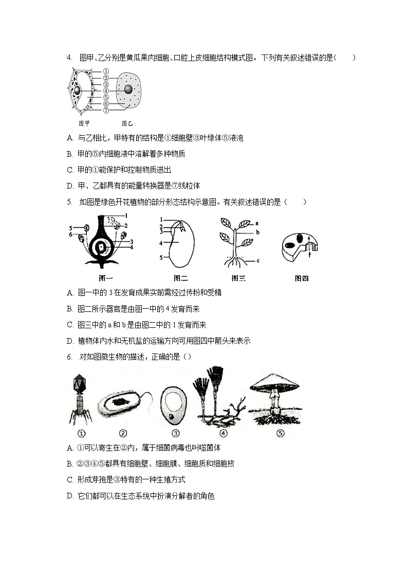2023年山东省德州市平原县中考生物一模试卷（含解析）02