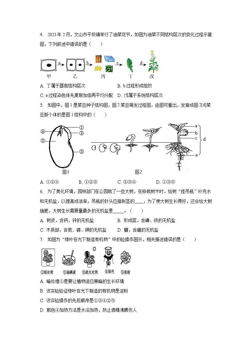 2023年云南省文山州中考生物一模试卷（含解析）02