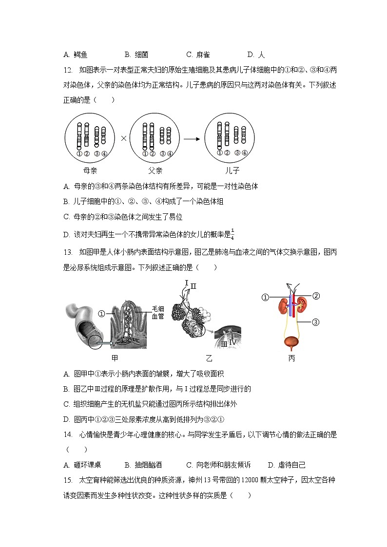 2023年河南省南阳市桐柏县四校联考中考生物二模试卷（含解析）第3页