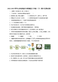 2022-2023学年山东省临沂市郯城县八年级（下）期中生物试卷（含解析）