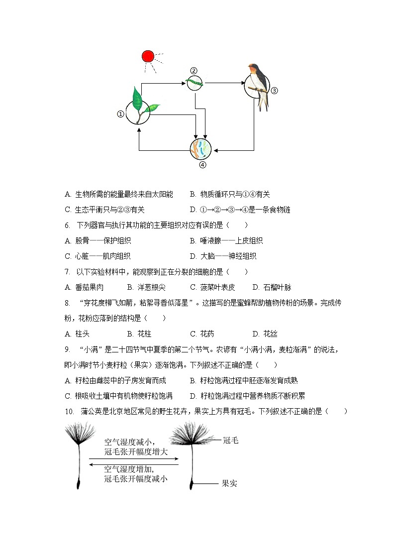 2022-2023学年北京十一学校亦庄实验中学八年级（下）期中生物试卷（含解析）02