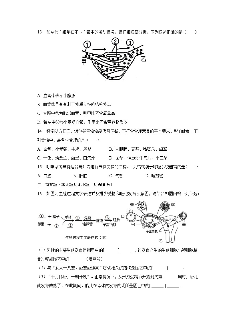2022-2023学年广西贺州市昭平县七年级（下）期中生物试卷（含解析）03
