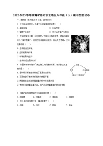 2022-2023学年湖南省邵阳市北塔区八年级（下）期中生物试卷（含解析）