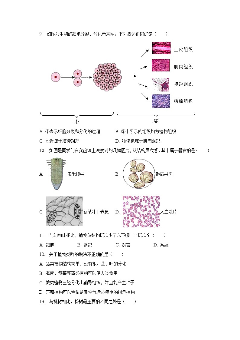 2022-2023学年内蒙古赤峰市红山区七年级（上）期末生物试卷（含解析）03