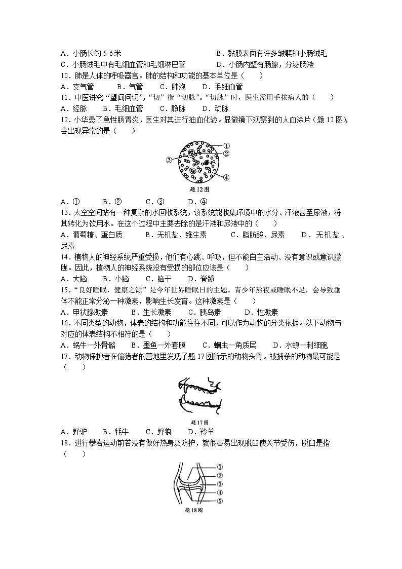 2023年广东省肇庆市怀集县中考二模生物试题02