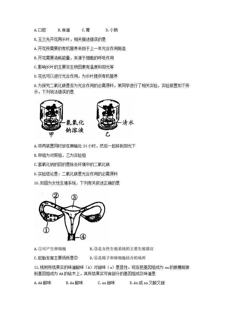 2023年北京市大兴区中考二模生物试题02