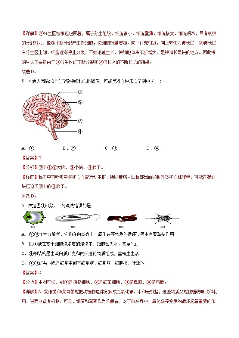 2023年中考押题预测卷01（徐州卷）-生物（全解全析）第3页