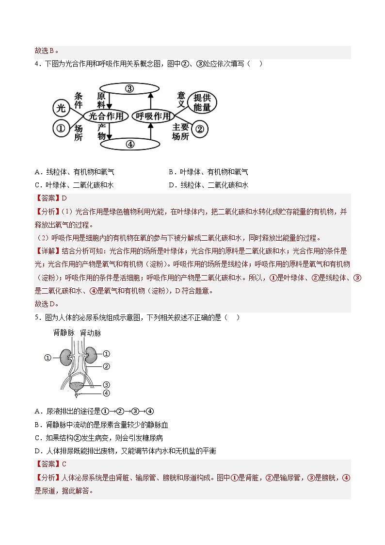 2023年中考第二次模拟考试卷-生物（江苏徐州卷）02