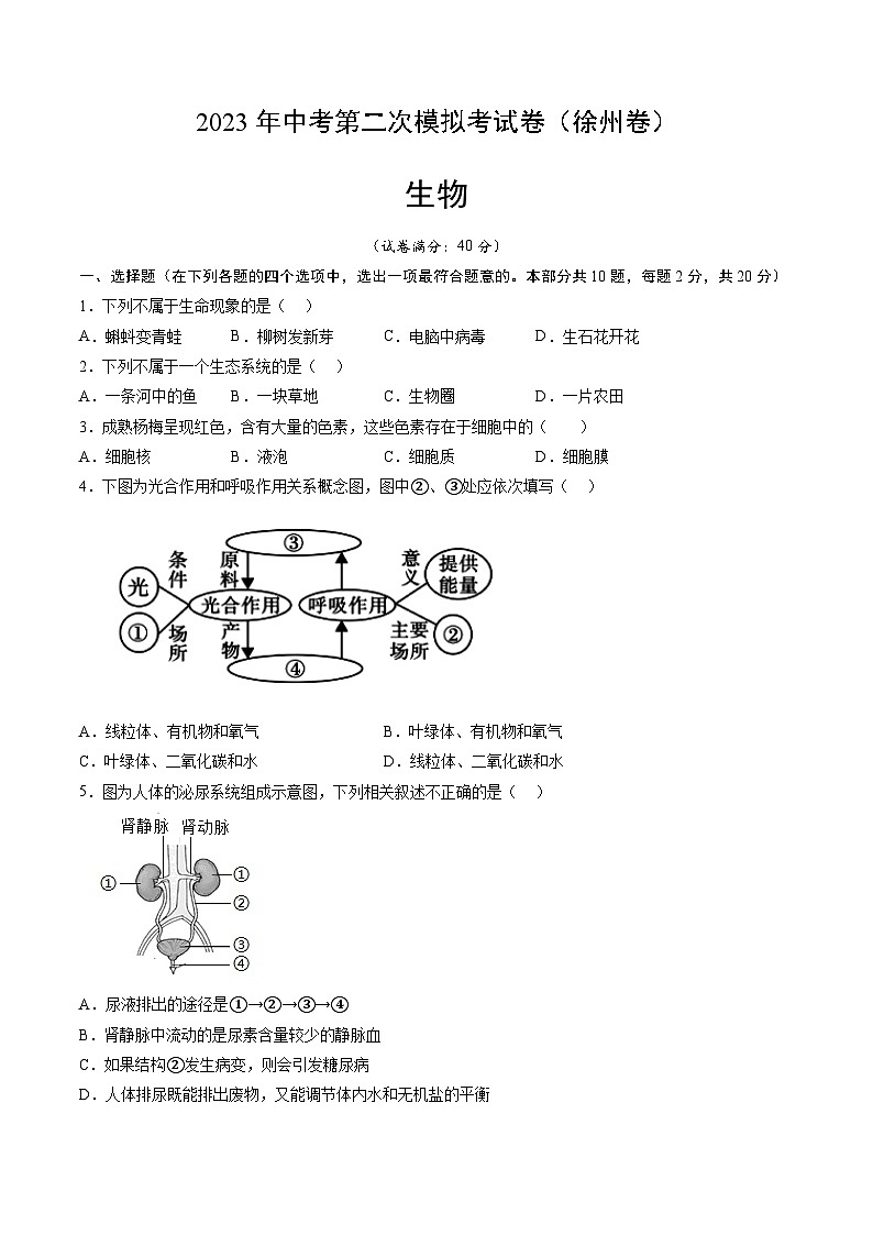 2023年中考第二次模拟考试卷-生物（江苏徐州卷）01