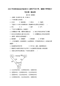 2023年吉林省延边州延吉市三道弯平冈中学、烟集中学等校中考生物一模试卷（含解析）