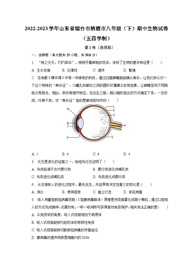 2022-2023学年山东省烟台市栖霞市八年级（下）期中生物试卷（五四学制）（含解析）01