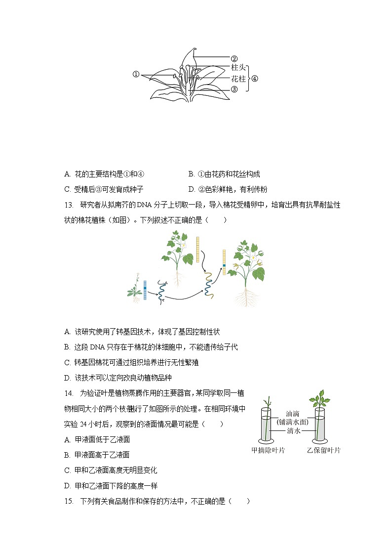 2022-2023学年山东省烟台市栖霞市八年级（下）期中生物试卷（五四学制）（含解析）03