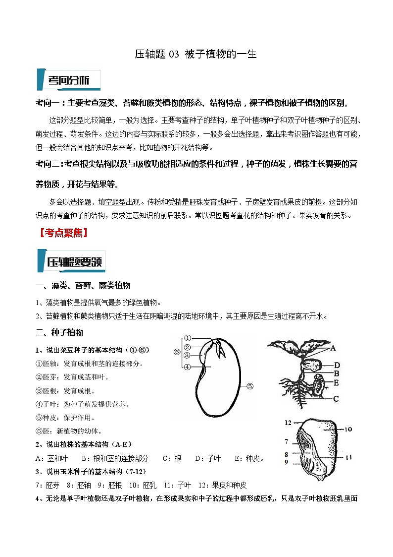 压轴题03 被子植物的一生——2023年会考初中生物压轴题特训学案01