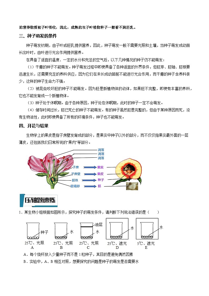 压轴题03 被子植物的一生——2023年会考初中生物压轴题特训学案02