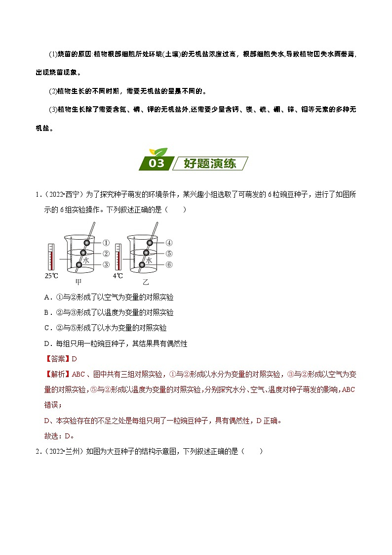 易错点03  绿色开花植物的一生——2023年会考初中生物易错点专练学案03