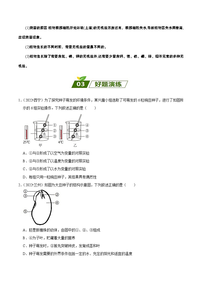 易错点03  绿色开花植物的一生——2023年会考初中生物易错点专练学案03