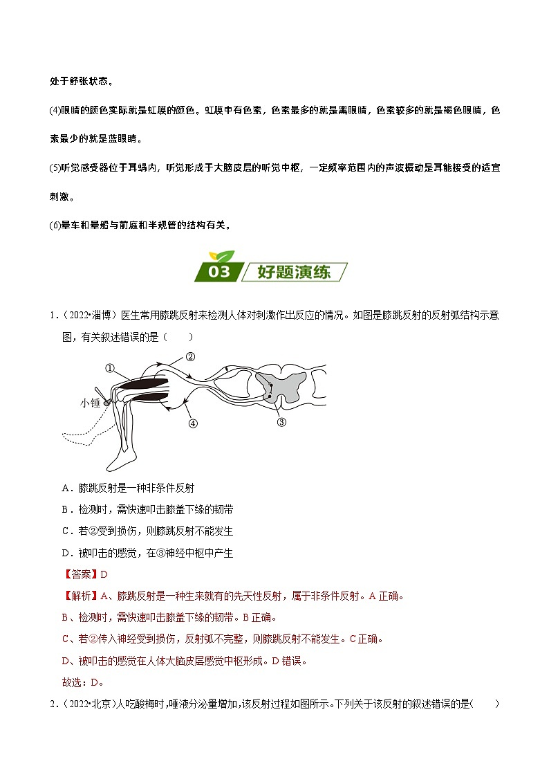 易错点07  人体生命活动的调节——2023年会考生物易错点专练学案（解析版）第3页