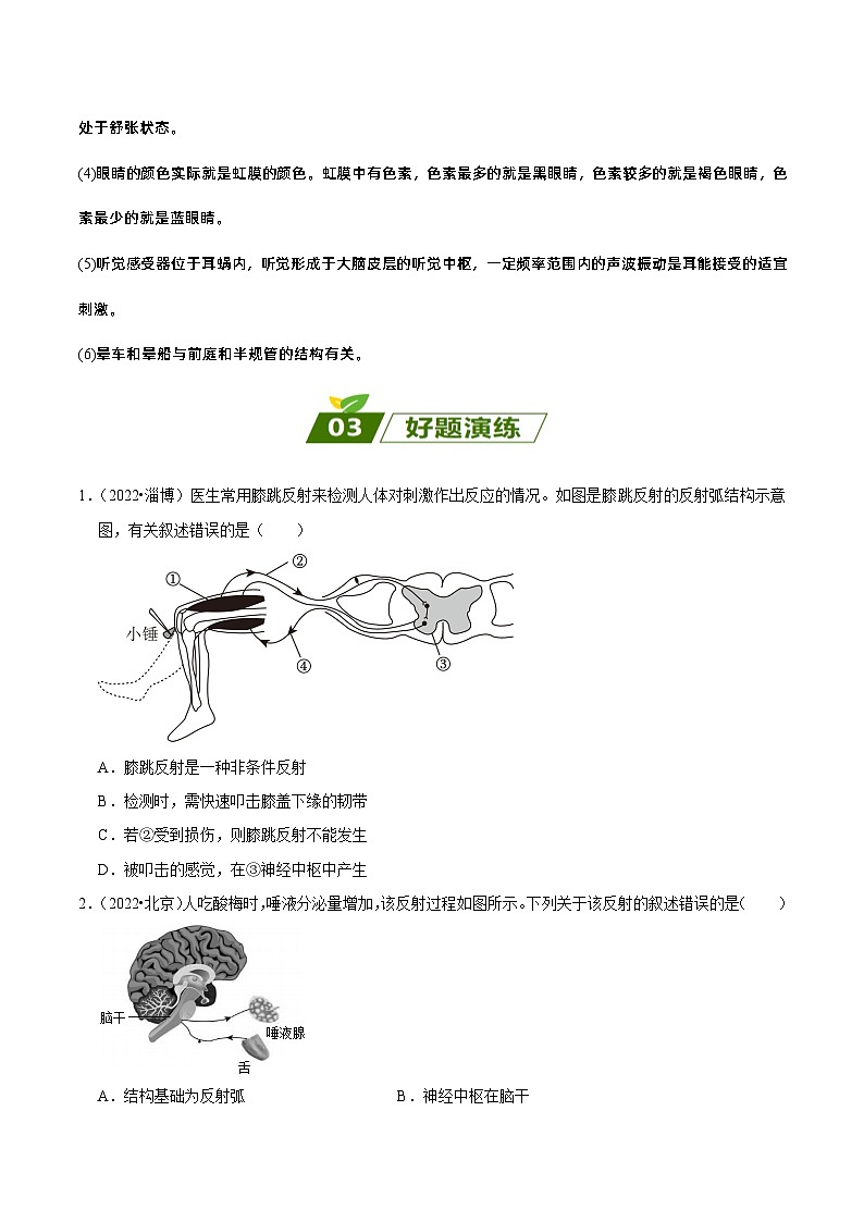 易错点07  人体生命活动的调节——2023年会考生物易错点专练学案（原卷版）第3页