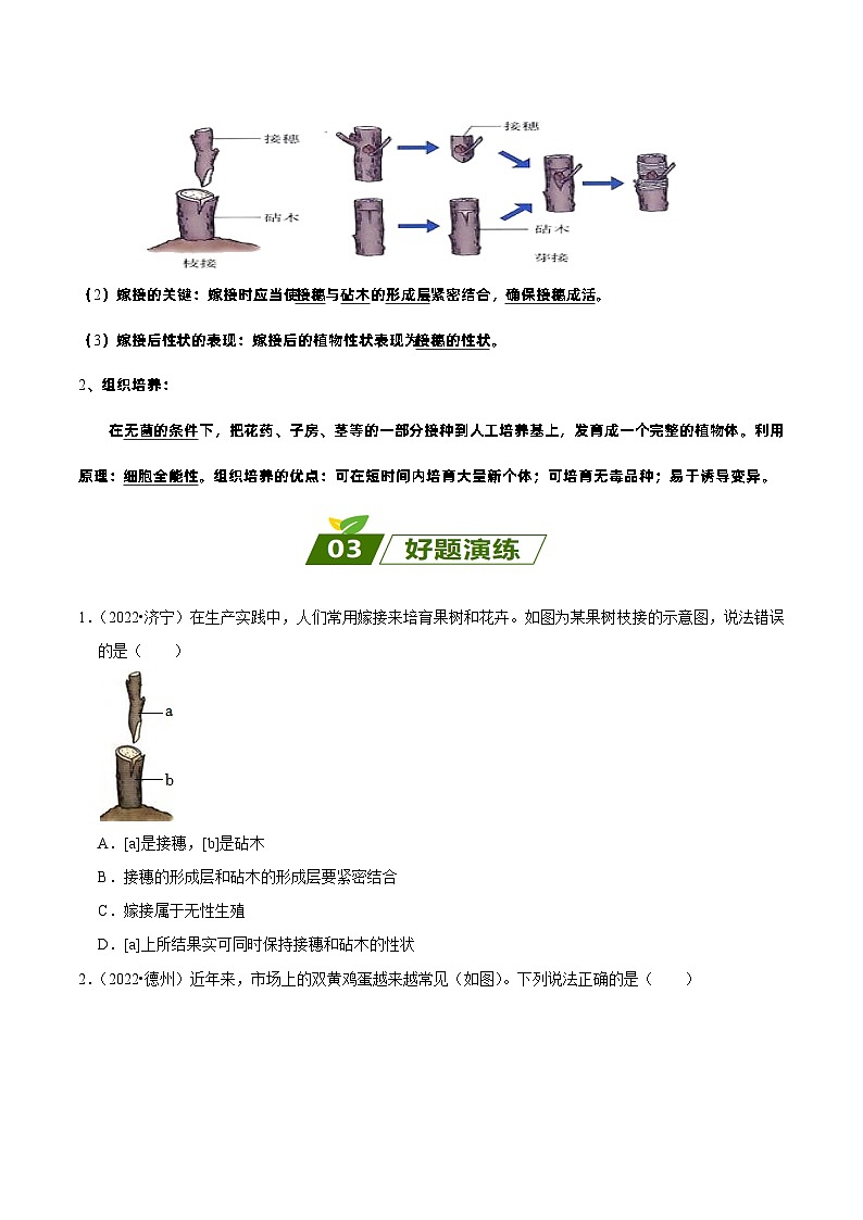 易错点09  初中生物的生殖和发育——2023年会考初中生物易错点专练学案03