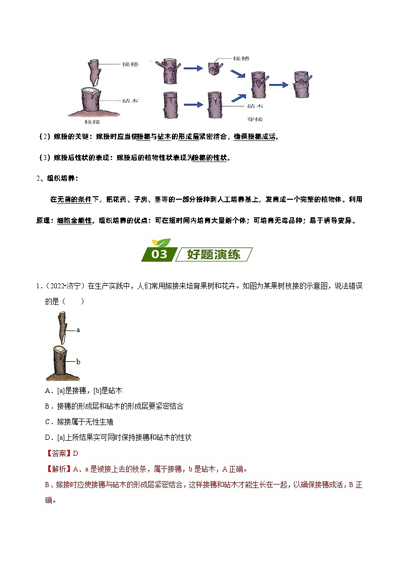 易错点09  初中生物的生殖和发育——2023年会考初中生物易错点专练学案03