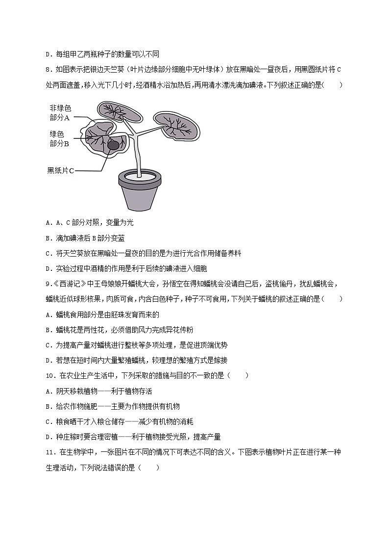 专练04（中等提升选择题50题）（原卷版）第3页
