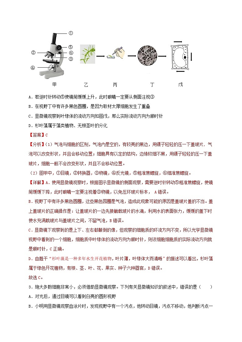 专练04（中等提升选择题50题）（解析版）第2页