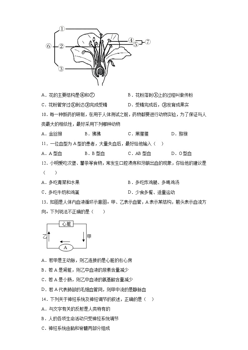 2023年河南省南阳市桐柏县四校联考中考一模生物试题（含答案）第3页