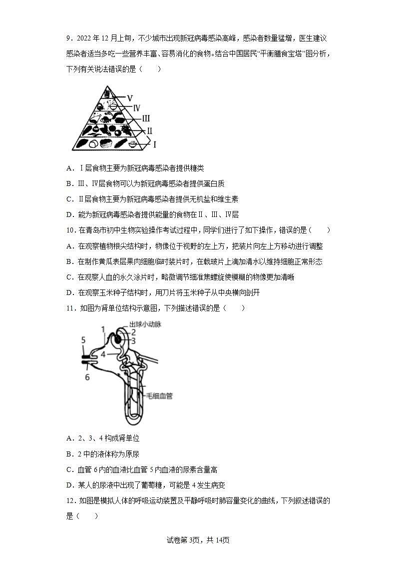 2023年山东省青岛莱西市中考二模生物试题（含答案）第3页
