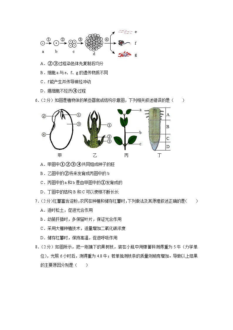2023年广东省东莞市中考生物二模试卷（含答案）02