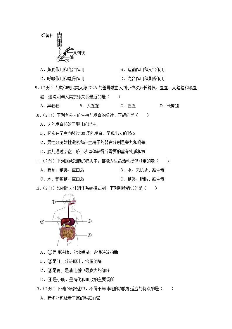 2023年广东省东莞市中考生物二模试卷（含答案）03