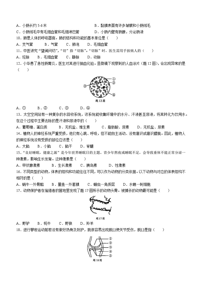 2023年广东省肇庆市怀集县中考二模生物试题（含答案）02