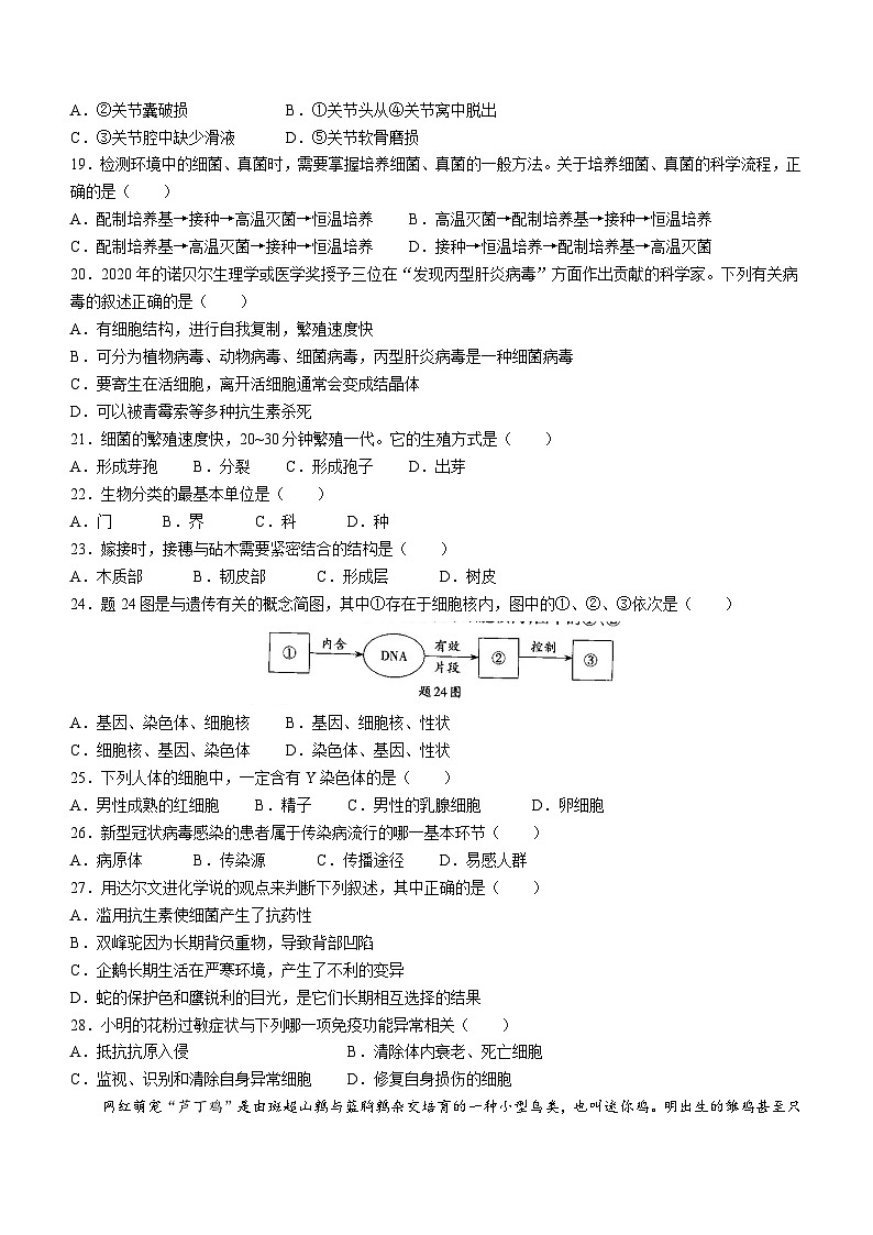 2023年广东省肇庆市怀集县中考二模生物试题（含答案）03