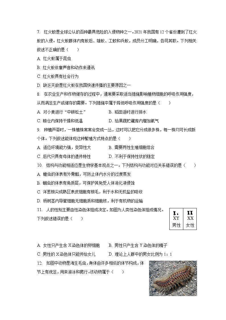 2023年山东省聊城临清市中考生物二模试卷（含解析）第2页